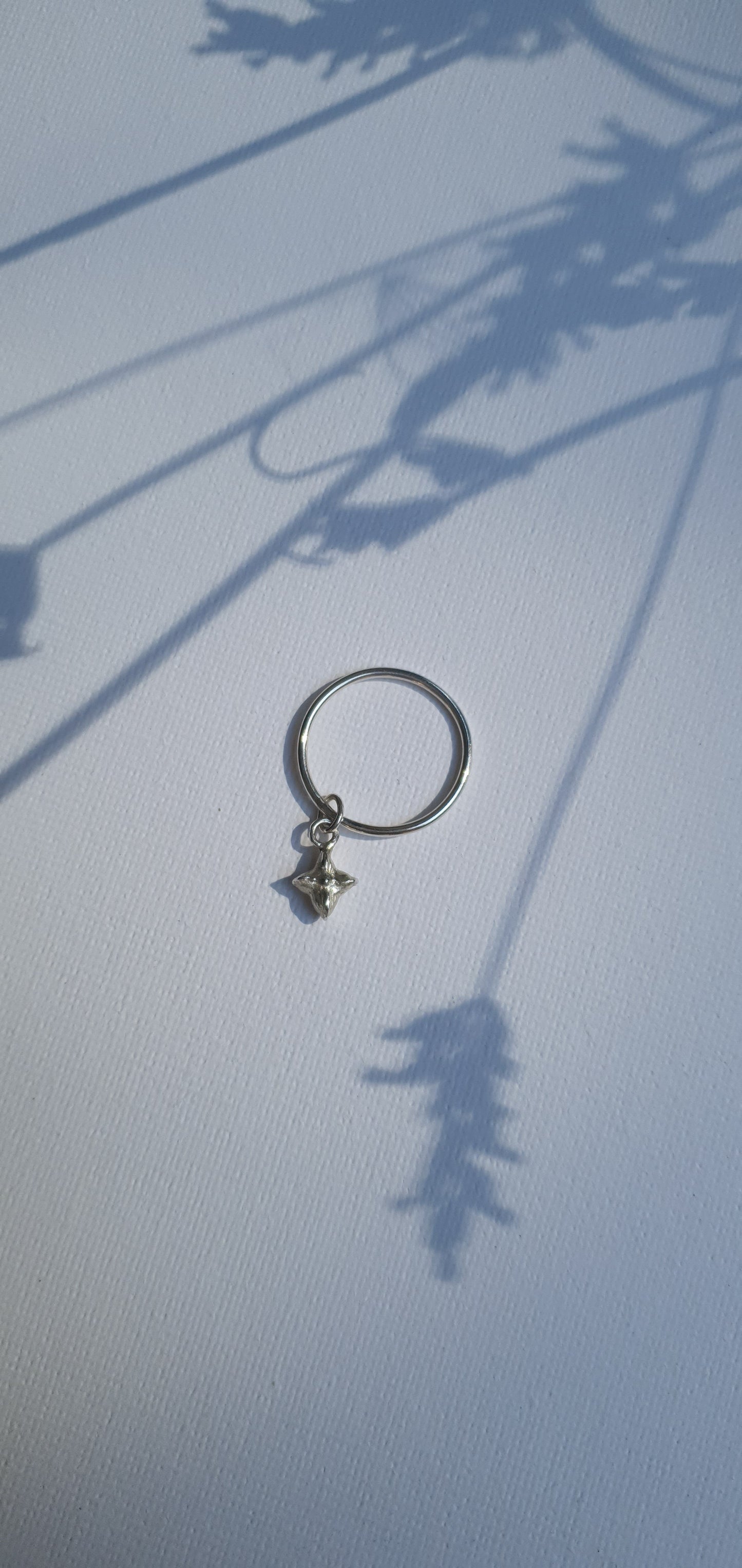 Ring Novel
