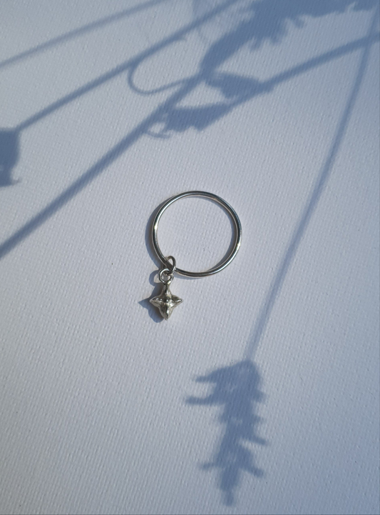 Ring Nova