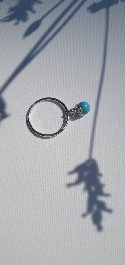 Ring The Other Side of the Moon